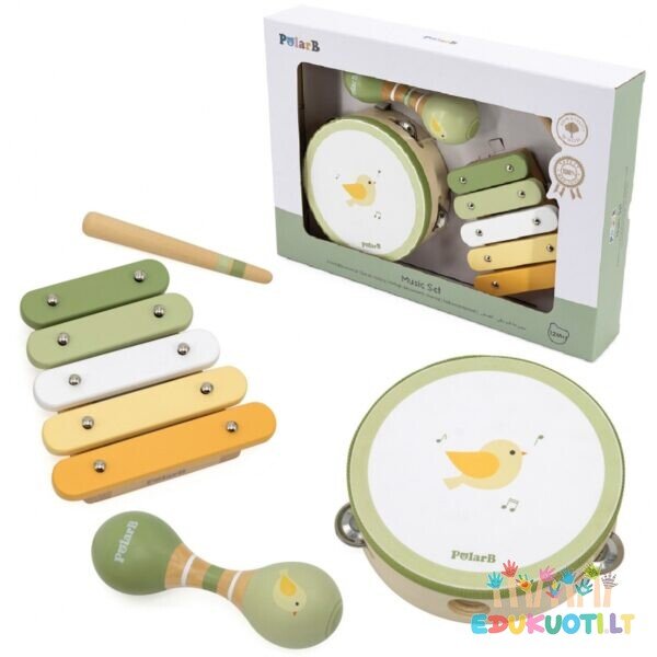 Muzikos instrumentų rinkinys  R44213