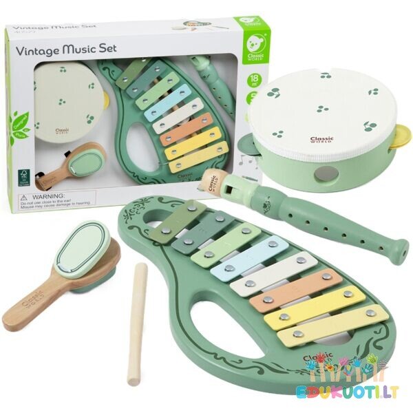 Medinis muzikos instrumentų rinkinys R40579