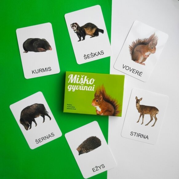 Edukacinių kortelių rinkinys Miškas