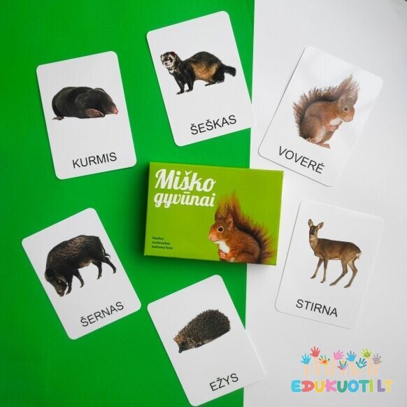 Edukacinių kortelių rinkinys Miškas