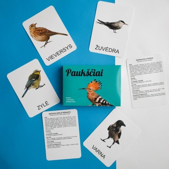 Edukacinių kortelių rinkinys Paukščiai