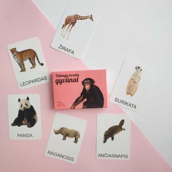 Edukacinių kortelių rinkinys Zoologijos sodas